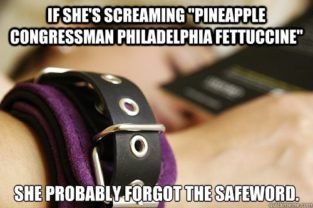 BDSM - 15+ Side-splitting Puns and Memes