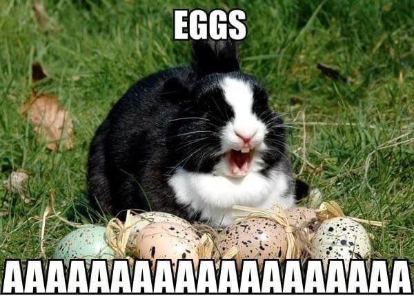 Funniest Easter Meme Collection [New 2023]