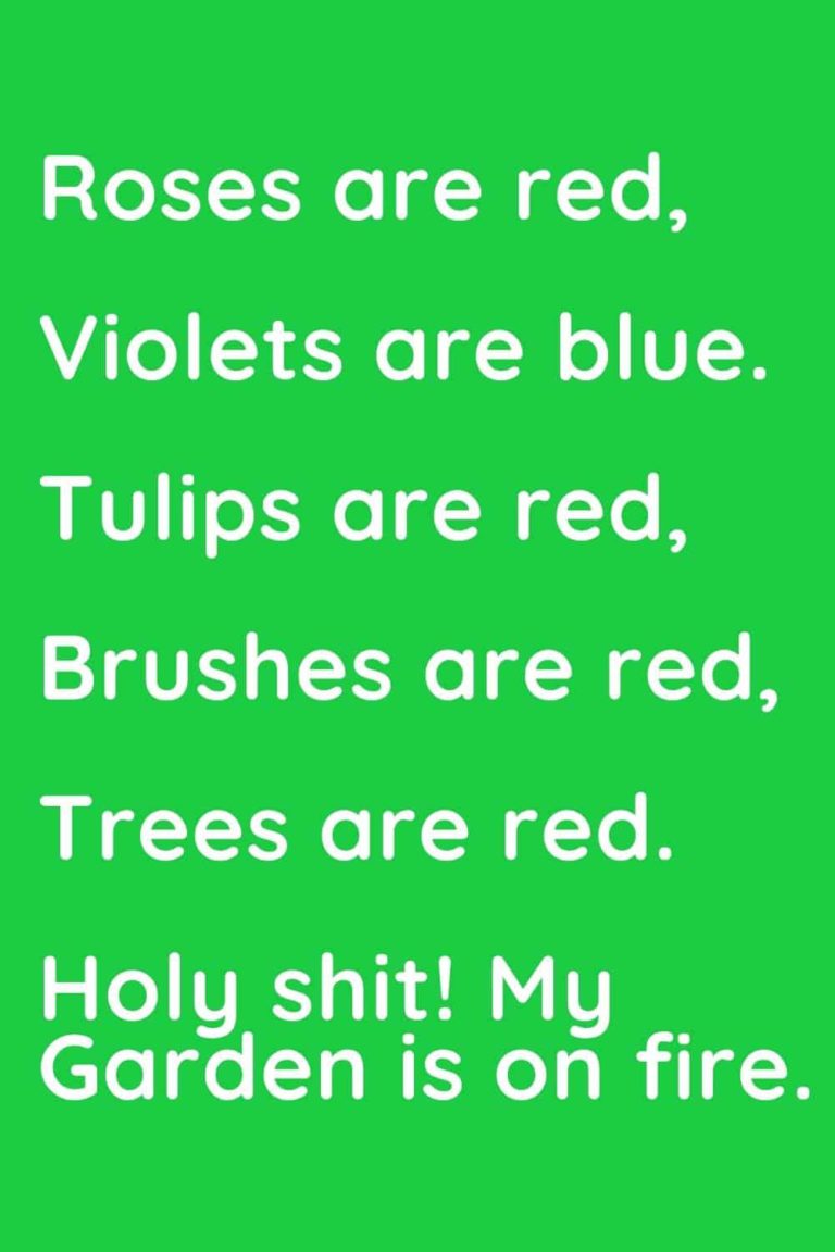 Top 15 Roses are Red Memes of 2022 (Raw Collection)