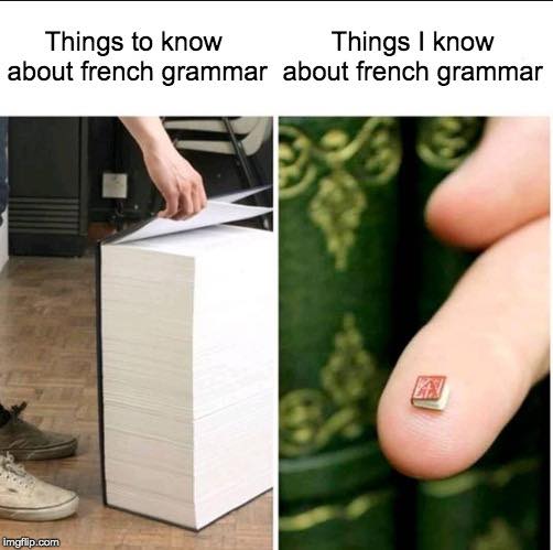 Planning to share a memorable meme with a buddy? These French puns and ...