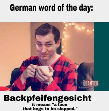 Mega German Meme Collection Hilarious Puns