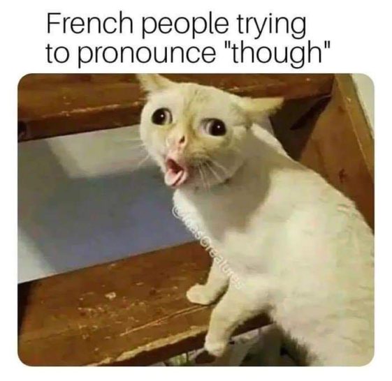 Funniest French Meme Collection [New 2023]