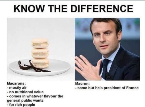 15 Of The Best French Memes Silly Jokes All Year Majestic Memes
