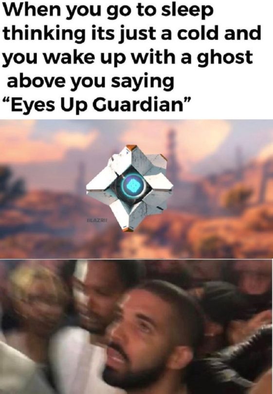 Kick Back and Have a Good Laugh With These Destiny 2 Memes - Majestic Memes
