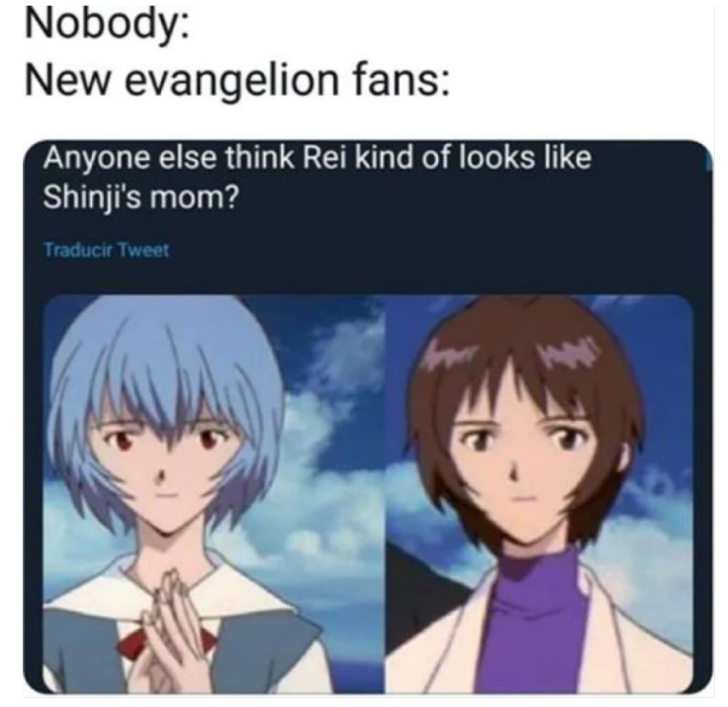 Planning to share a memorable meme with a buddy? These Evangelion puns ...