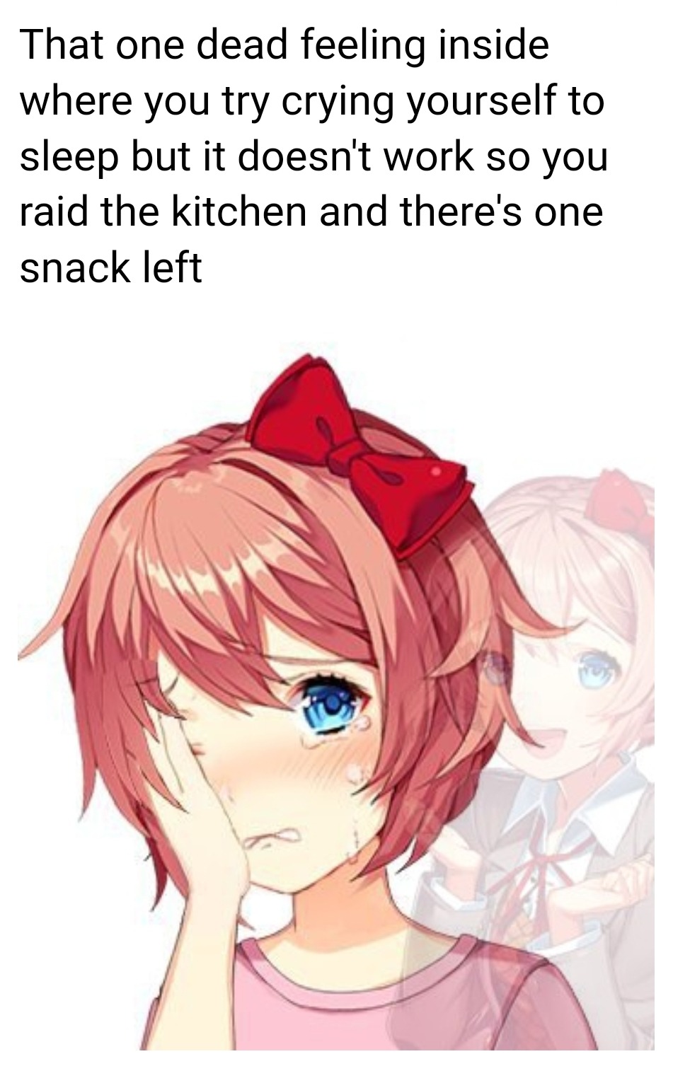 15 of the Best DDLC Memes: Silly Puns All-Year Round - Majestic Memes